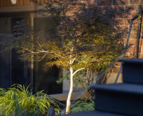 home backyard interlocking toronto