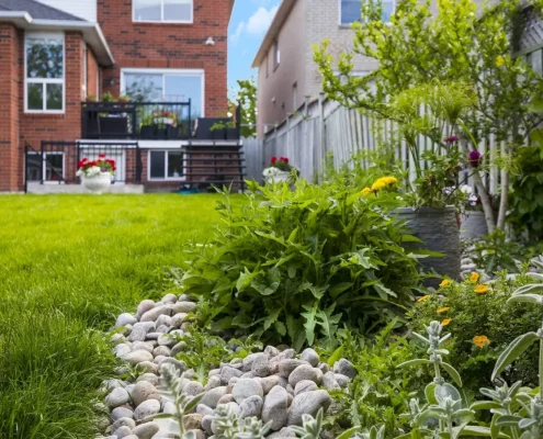 Landscape designing