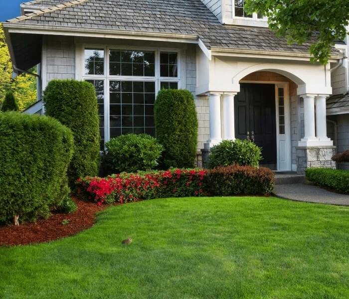 Lawn design experts