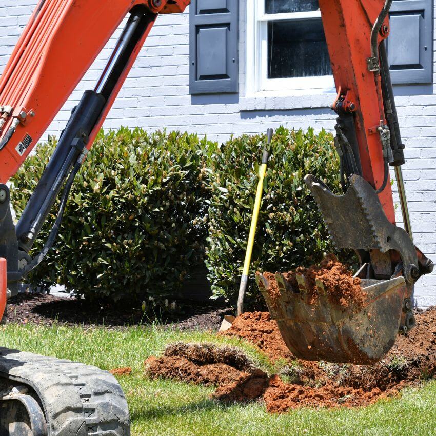 Landscape construction process