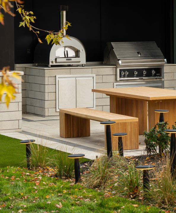 Backyard outdoor kitchen and living area